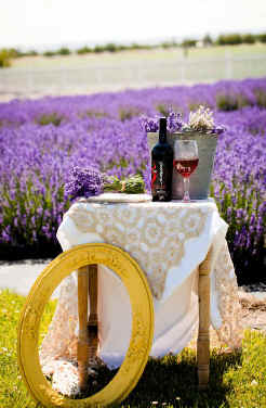 Sno Road Winery at Purple Ridge Lavender in Eastern Oregon